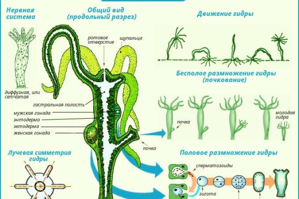 Кракен что можно купить