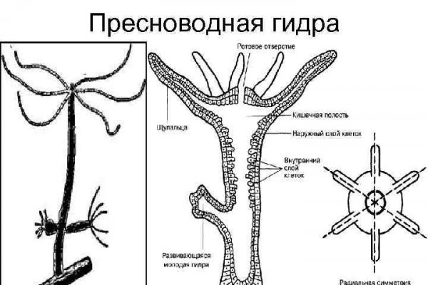 Что такое кракен маркет торкнет